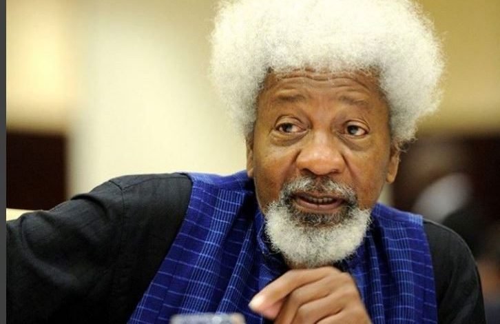 Soyinka-e1720917823836-726x470