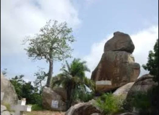 IMG-20241126-WA0101