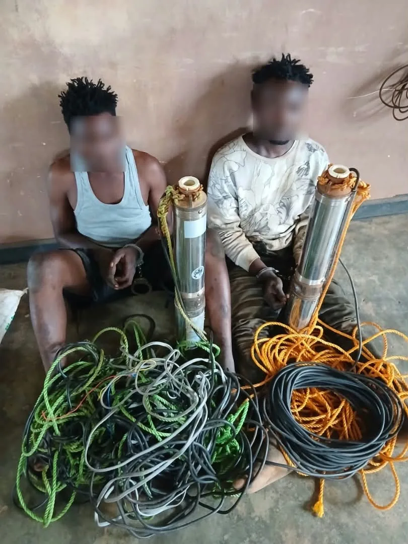 IMG-20261006-WA0155(1)